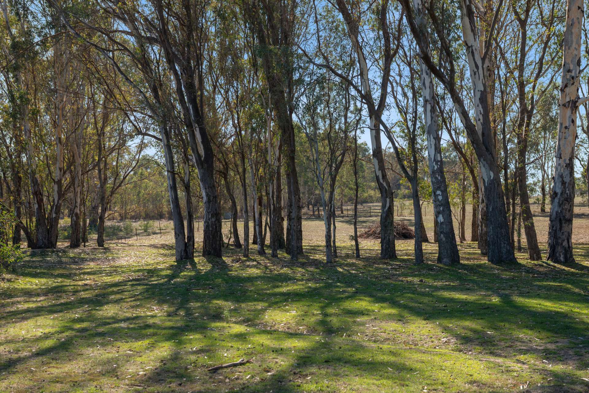 97 McCarthy Drive, Heathcote For Sale by Farmbuy.com - image 20