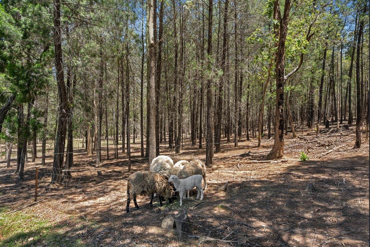 2306 Gatton Esk Road, Buaraba For Sale by Farmbuy.com - image 16