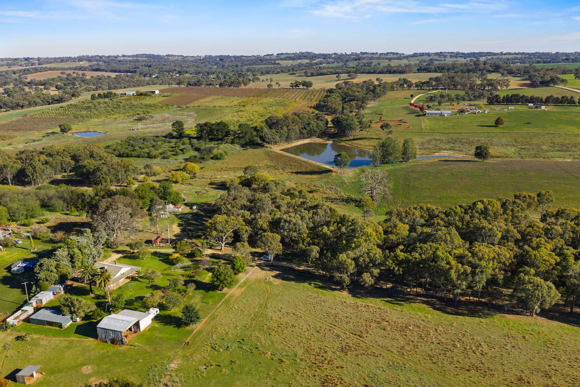 126 Woodlands Road, Young Auction by Farmbuy.com - image 35