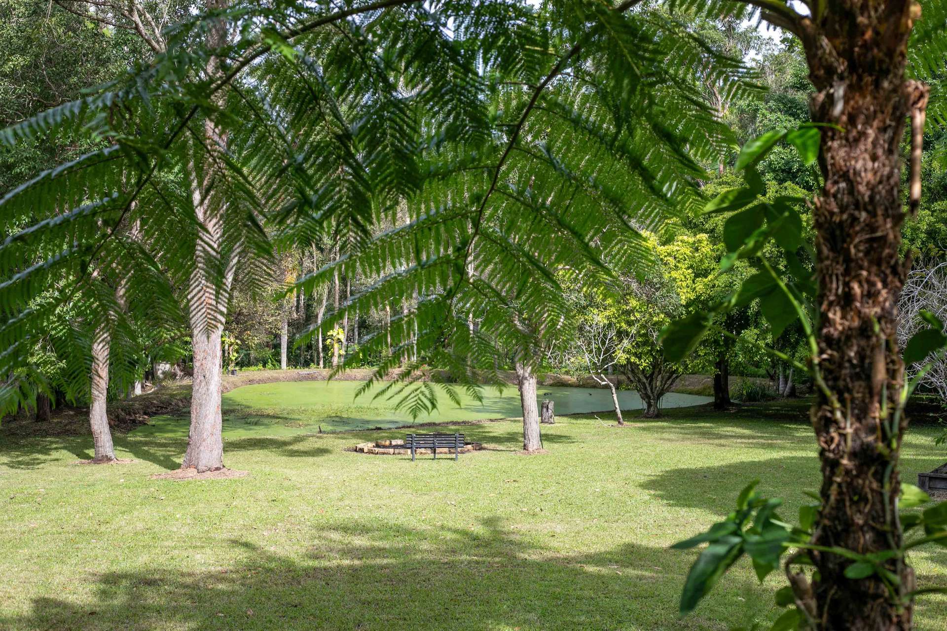 58 To 62 Marlock Court, Doonan Auction by Farmbuy.com - image 24