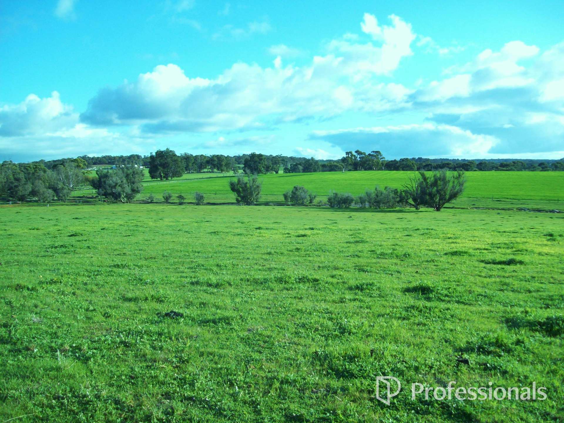 Lot 8464 Corser Road, Hastings For Sale by Farmbuy.com - image 1