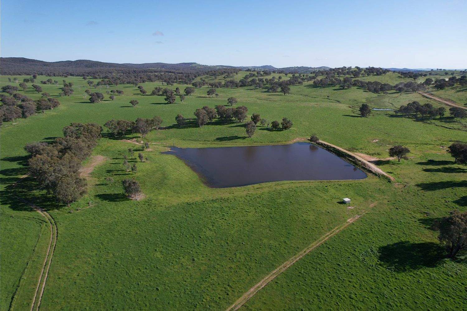 1744 Brawlin Road, Cootamundra For Sale by Farmbuy.com - image 3
