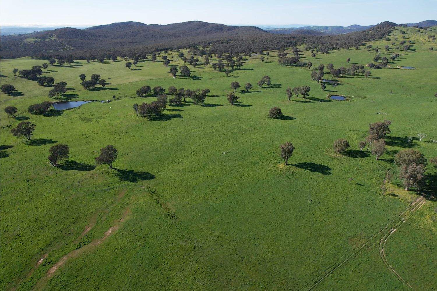 1744 Brawlin Road, Cootamundra For Sale by Farmbuy.com - image 2