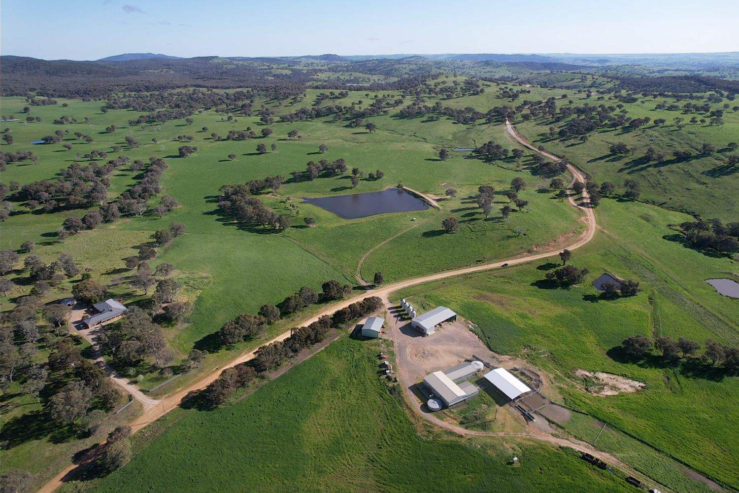 1744 Brawlin Road, Cootamundra For Sale by Farmbuy.com - image 1