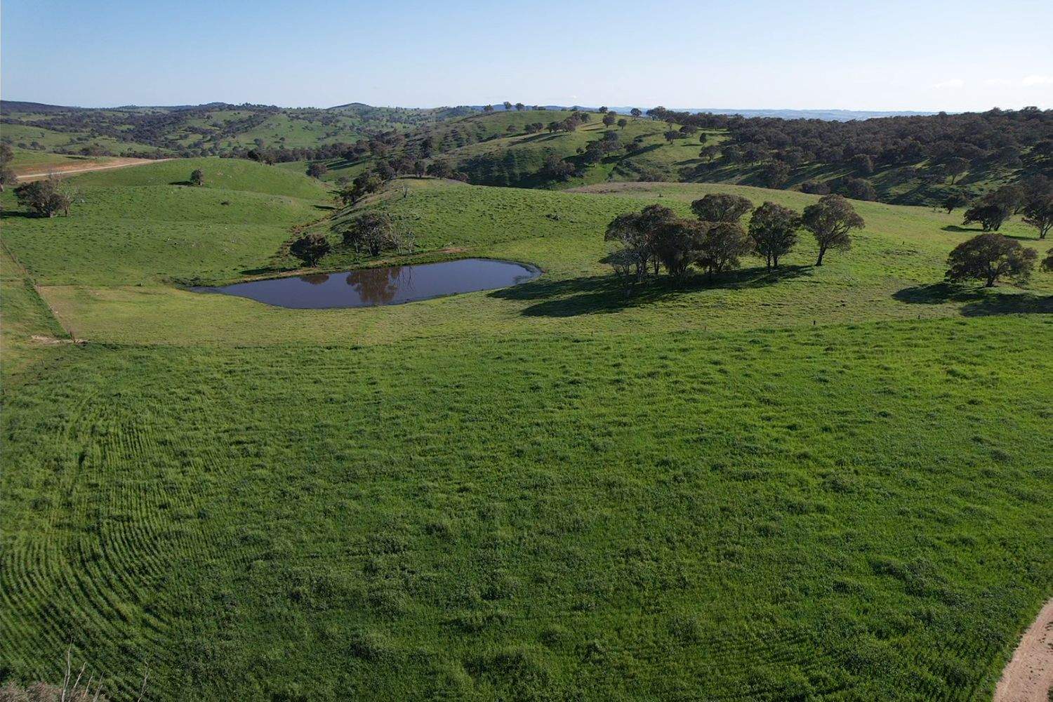 1744 Brawlin Road, Cootamundra For Sale by Farmbuy.com - image 15