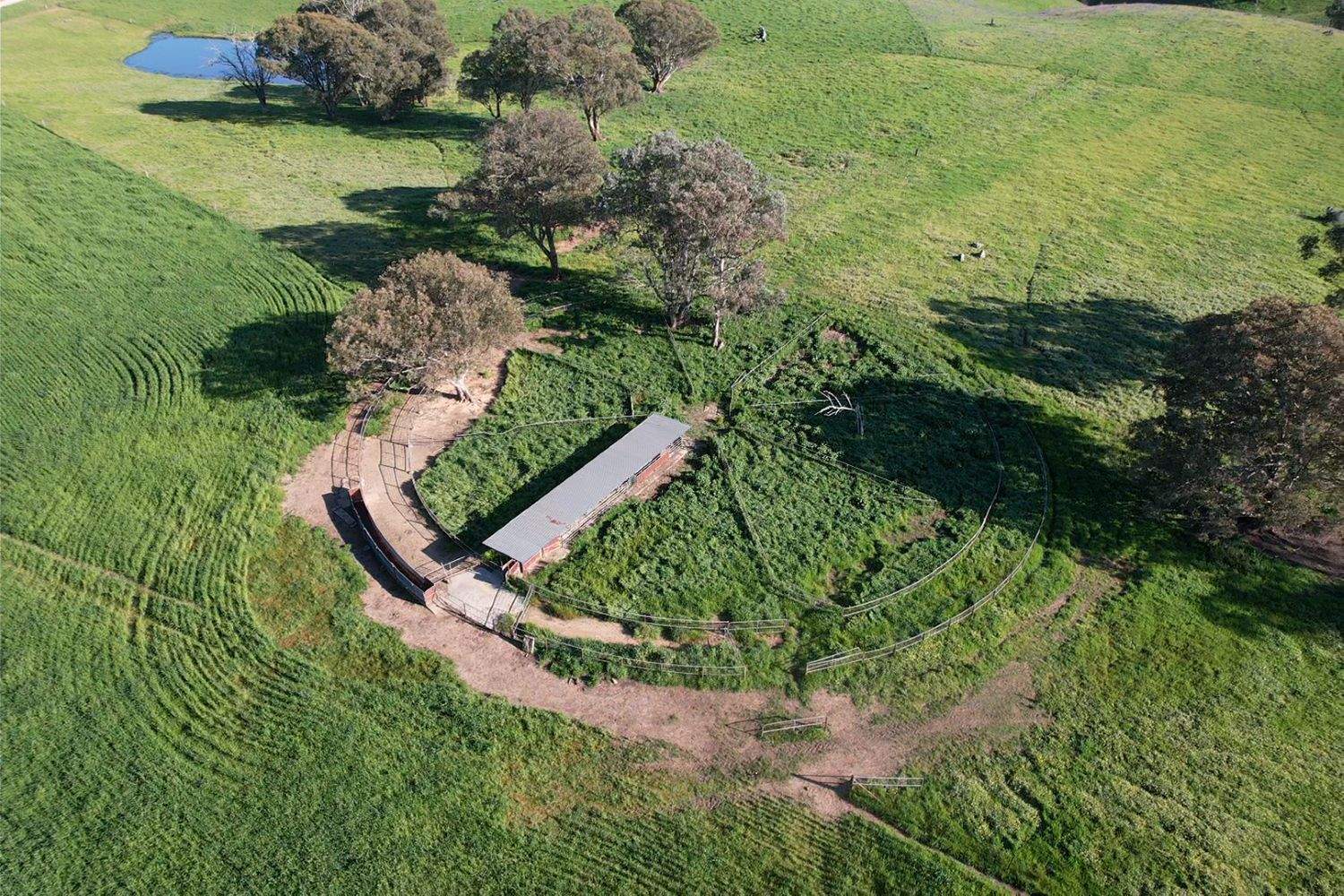 1744 Brawlin Road, Cootamundra For Sale by Farmbuy.com - image 35