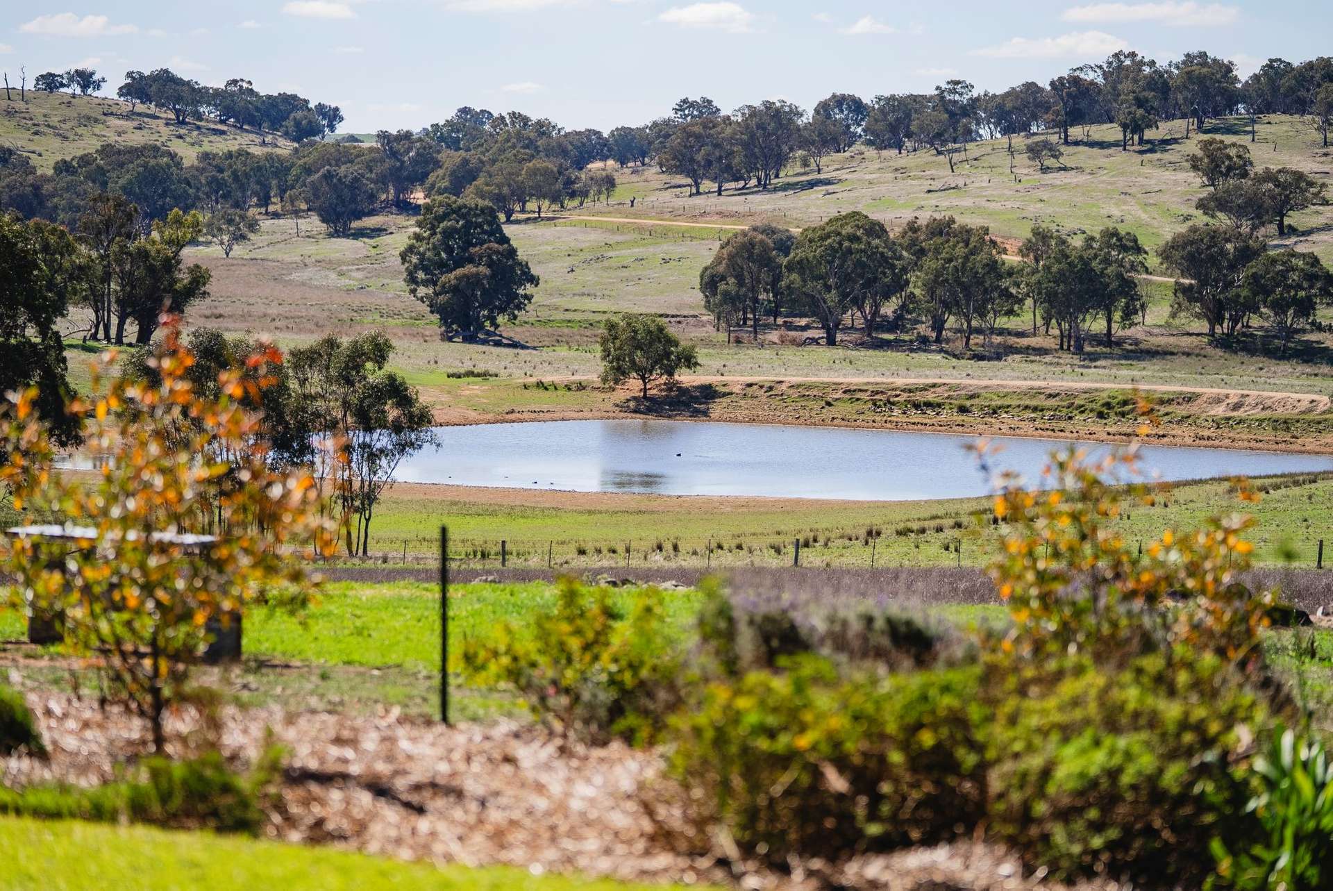1744 Brawlin Road, Cootamundra For Sale by Farmbuy.com - image 22