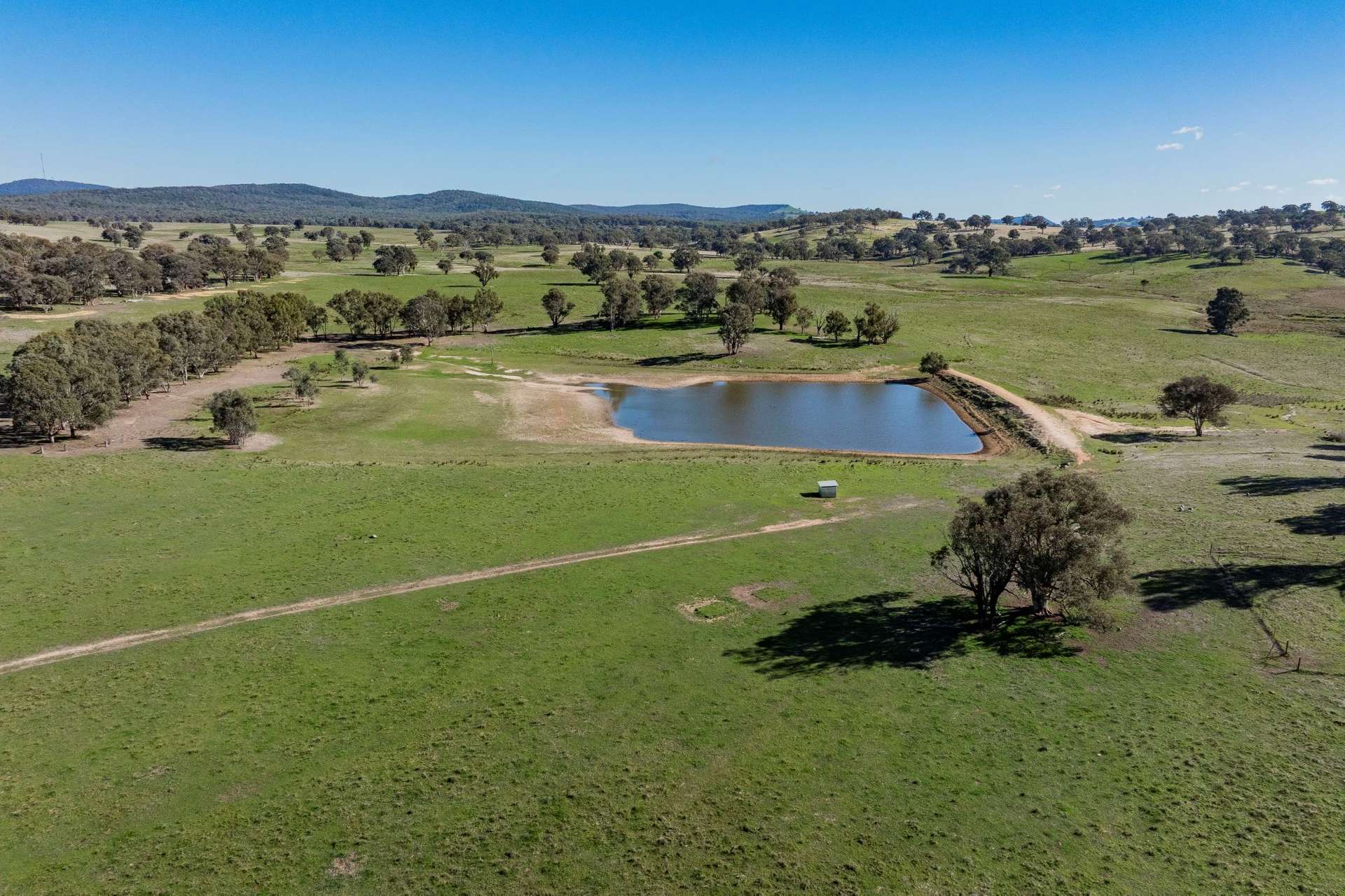 1744 Brawlin Road, Cootamundra For Sale by Farmbuy.com - image 12