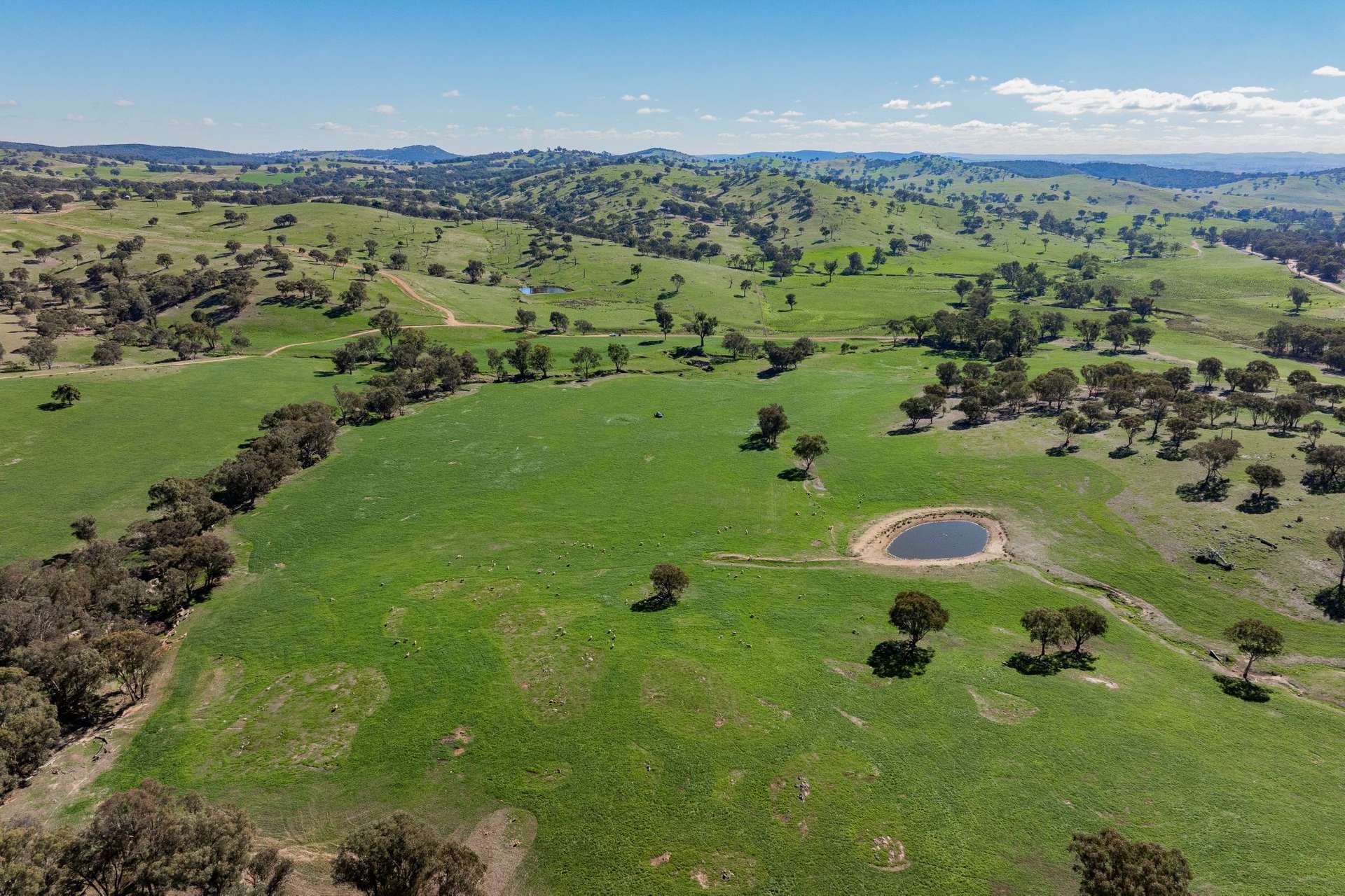 1744 Brawlin Road, Cootamundra For Sale by Farmbuy.com - image 2