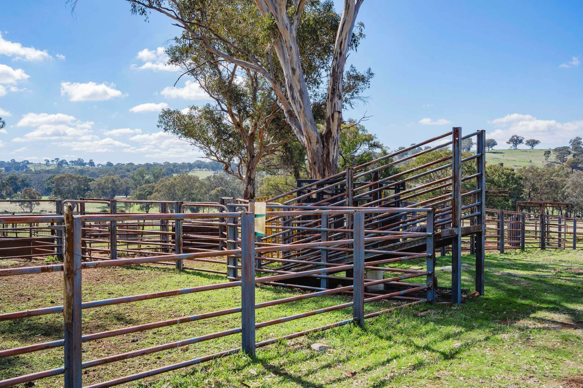 1744 Brawlin Road, Cootamundra For Sale by Farmbuy.com - image 34