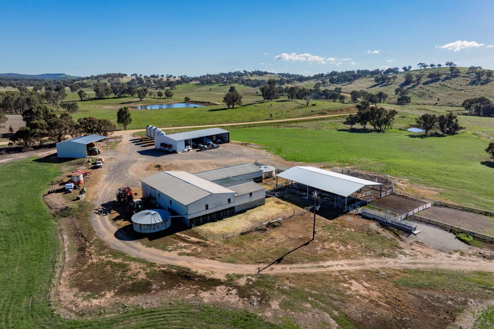1744 Brawlin Road, Cootamundra For Sale by Farmbuy.com - image 4