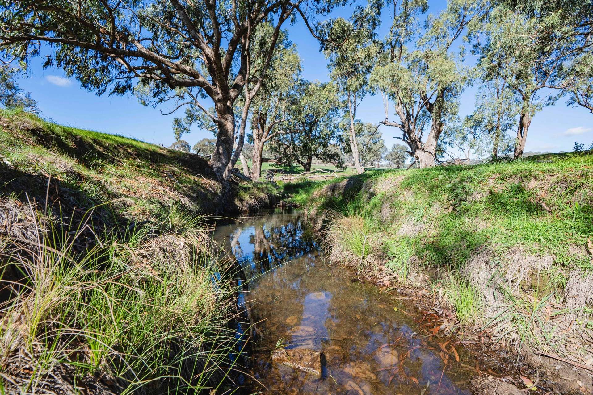 1744 Brawlin Road, Cootamundra For Sale by Farmbuy.com - image 11