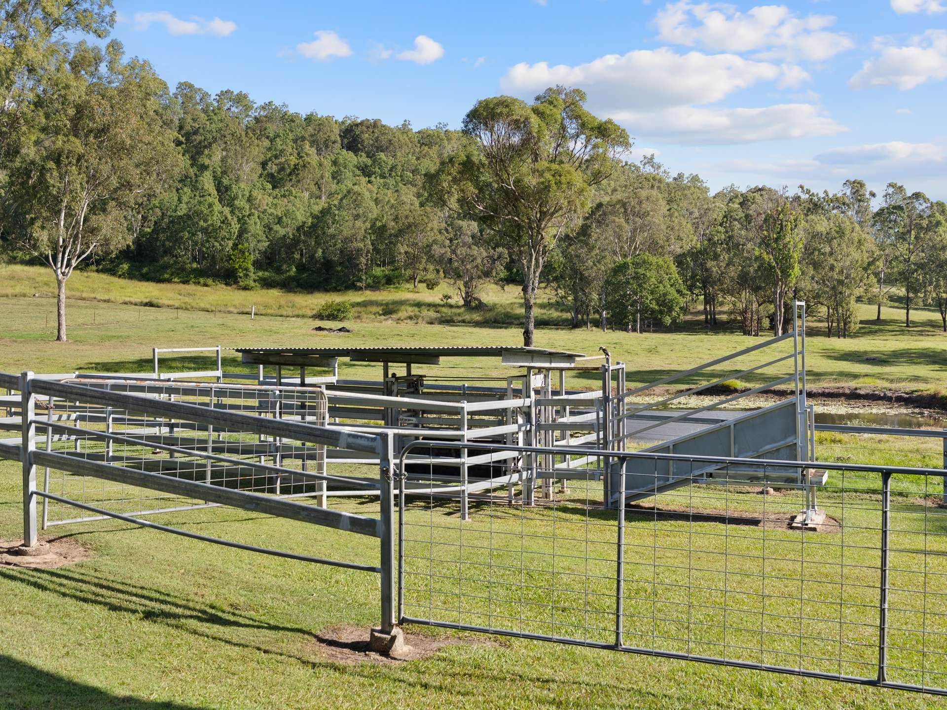 159 Eaton Lane, Stony Creek For Sale by Farmbuy.com - image 30