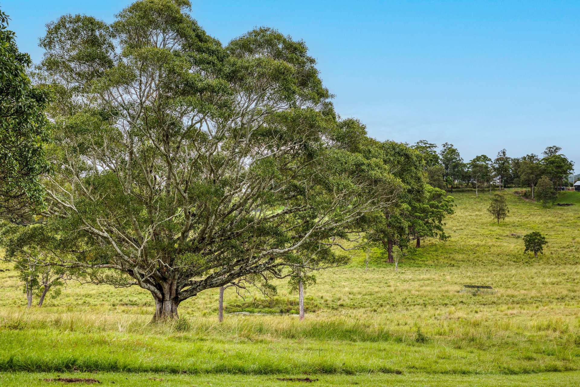 36-62 Windarra Place, Kyogle For Sale by Farmbuy.com - image 3