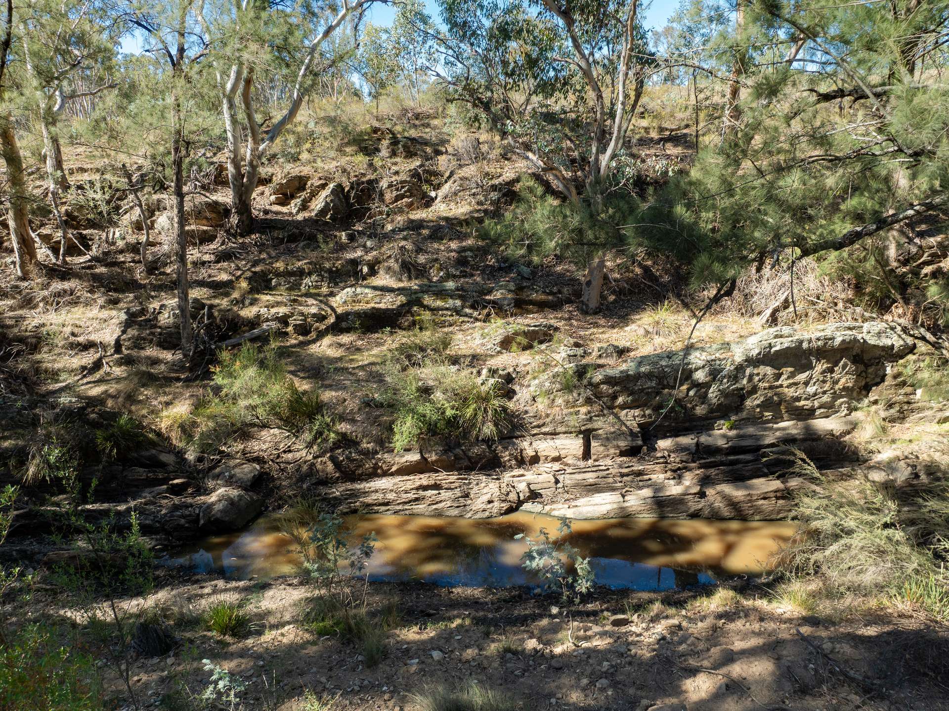 231 Boshes Creek Road, Mullion Creek Via, Orange For Sale by Farmbuy.com - image 16