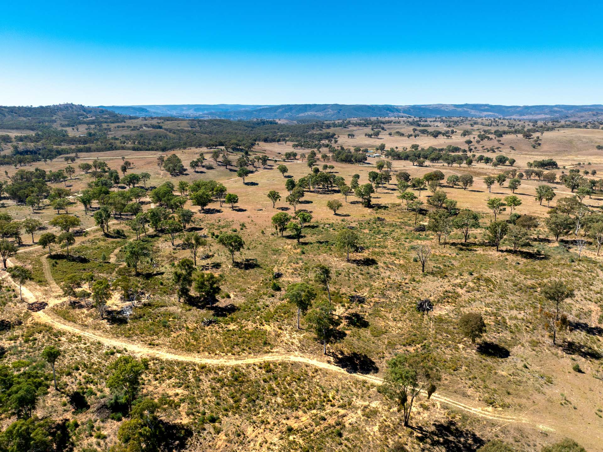 231 Boshes Creek Road, Mullion Creek Via, Orange For Sale by Farmbuy.com - image 2