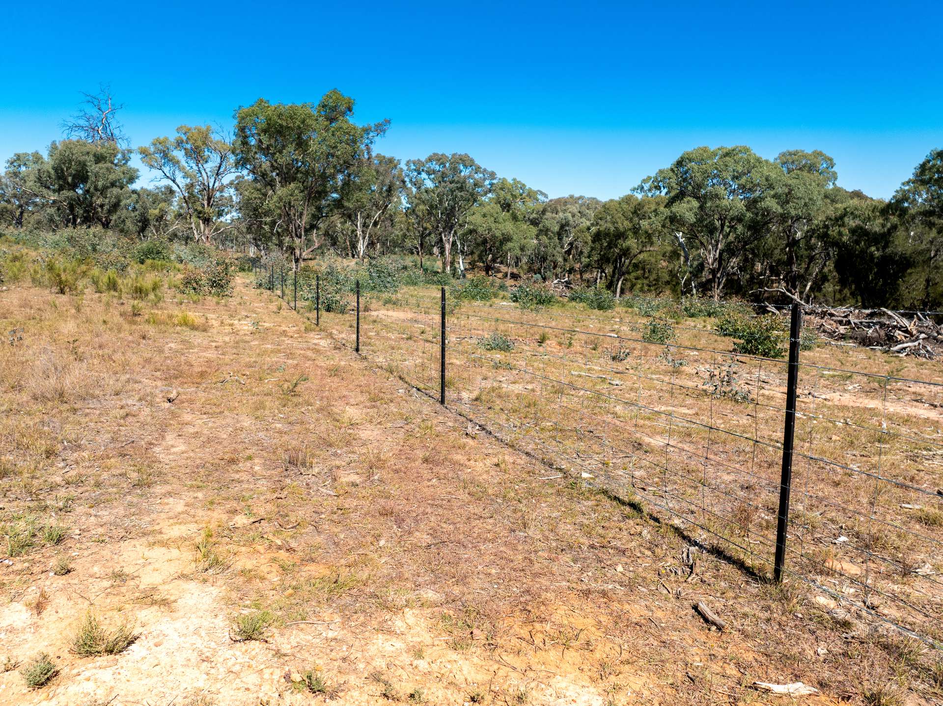 231 Boshes Creek Road, Mullion Creek Via, Orange For Sale by Farmbuy.com - image 12