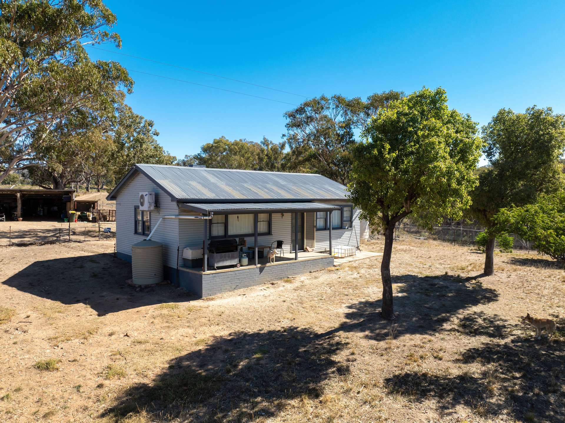231 Boshes Creek Road, Mullion Creek Via, Orange For Sale by Farmbuy.com - image 4