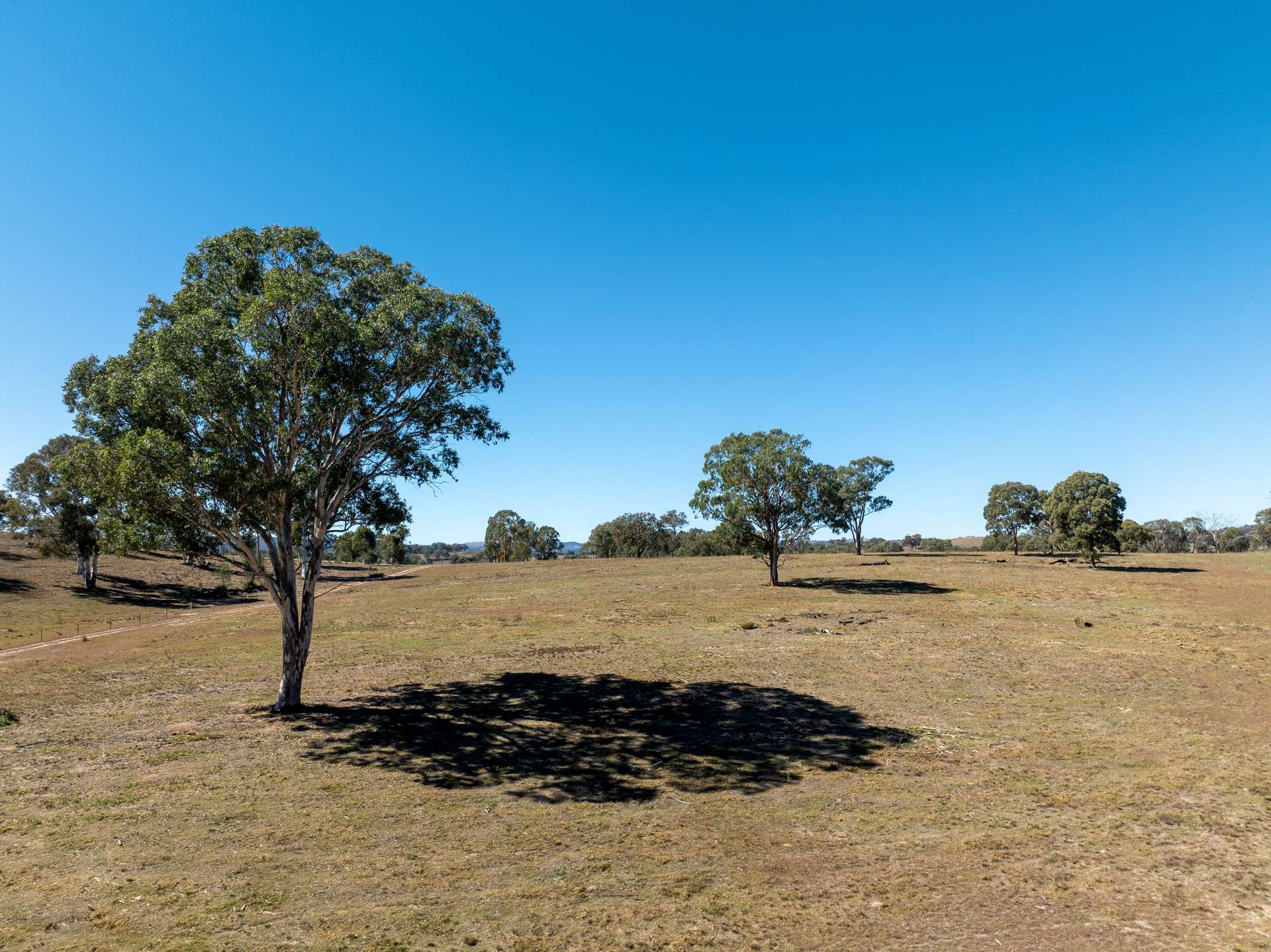 231 Boshes Creek Road, Mullion Creek Via, Orange For Sale by Farmbuy.com - image 7