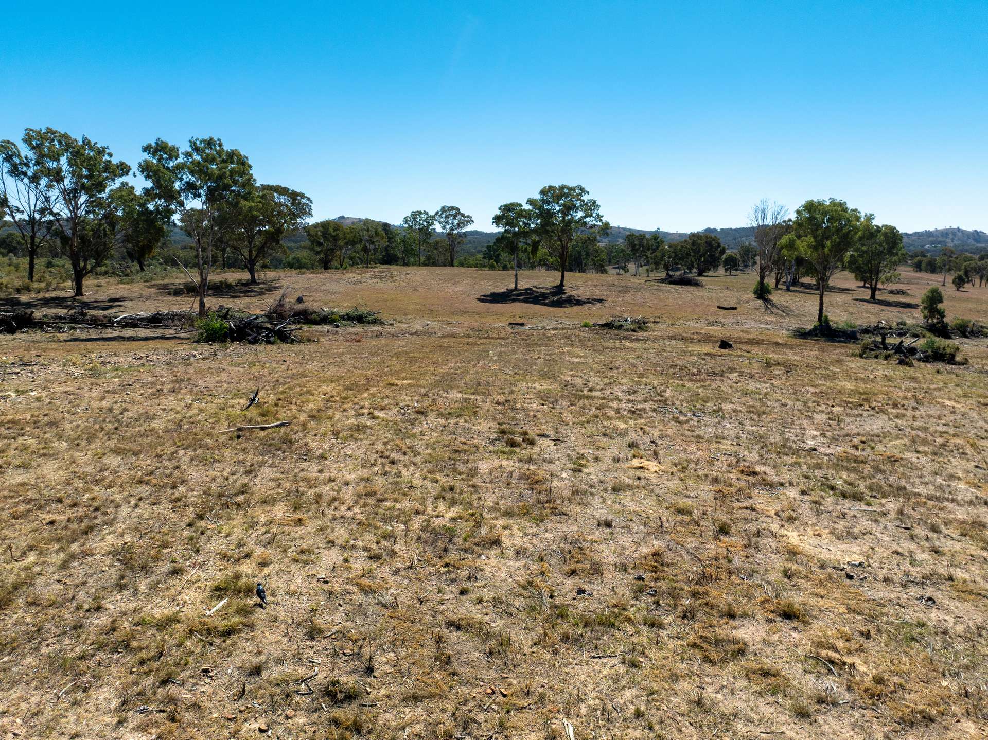 231 Boshes Creek Road, Mullion Creek Via, Orange For Sale by Farmbuy.com - image 11