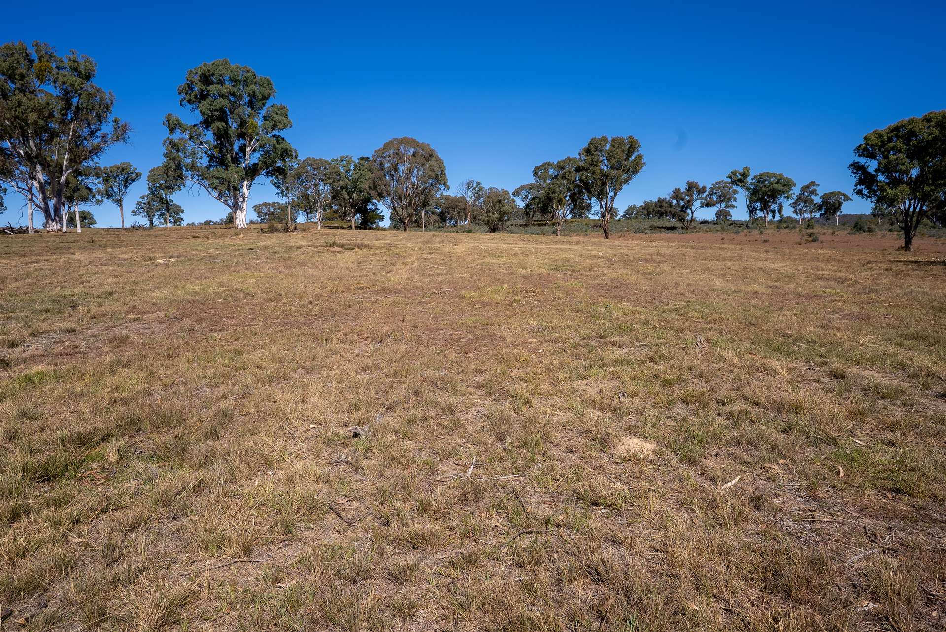 231 Boshes Creek Road, Mullion Creek Via, Orange For Sale by Farmbuy.com - image 17
