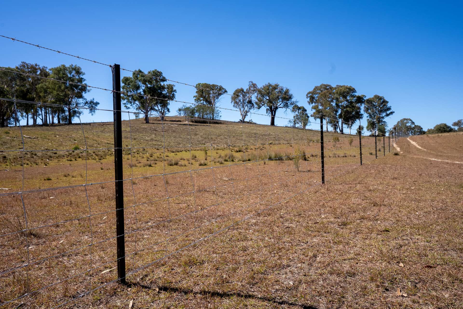 231 Boshes Creek Road, Mullion Creek Via, Orange For Sale by Farmbuy.com - image 18