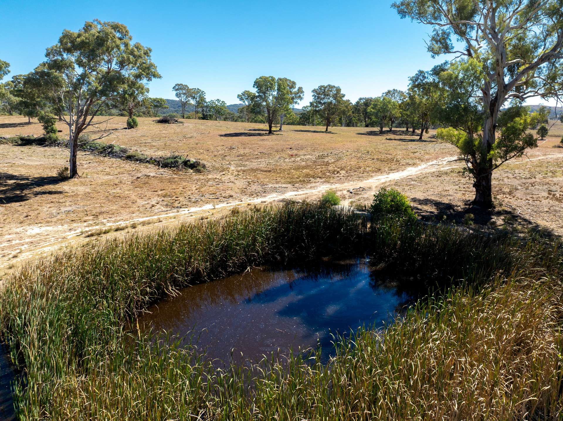 231 Boshes Creek Road, Mullion Creek Via, Orange For Sale by Farmbuy.com - image 8