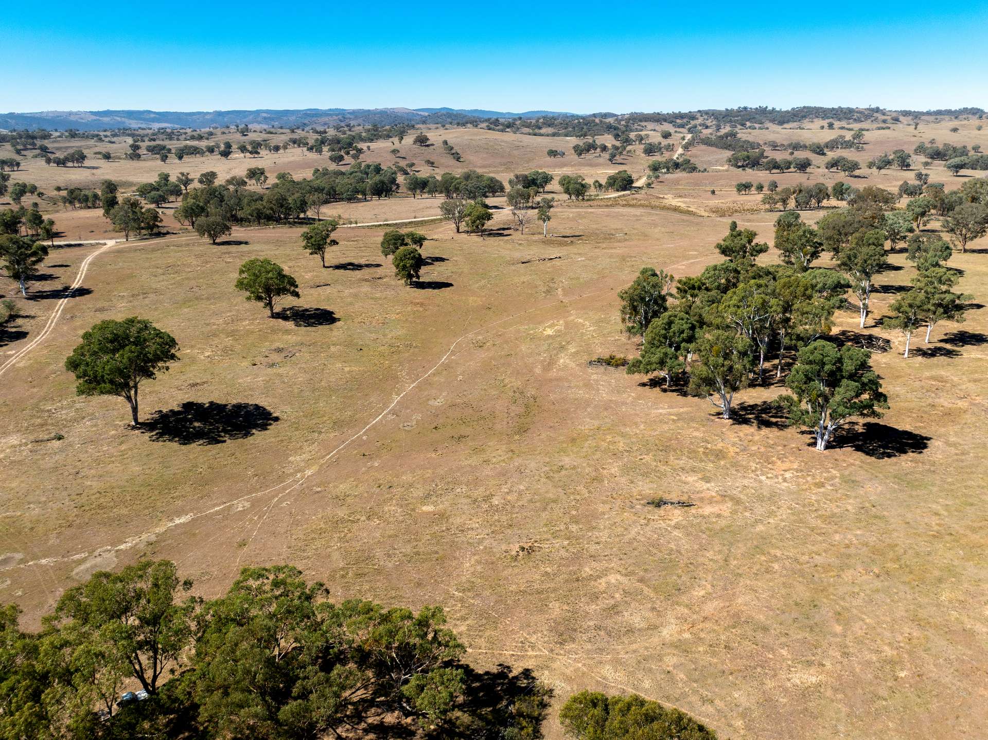 231 Boshes Creek Road, Mullion Creek Via, Orange For Sale by Farmbuy.com - image 5