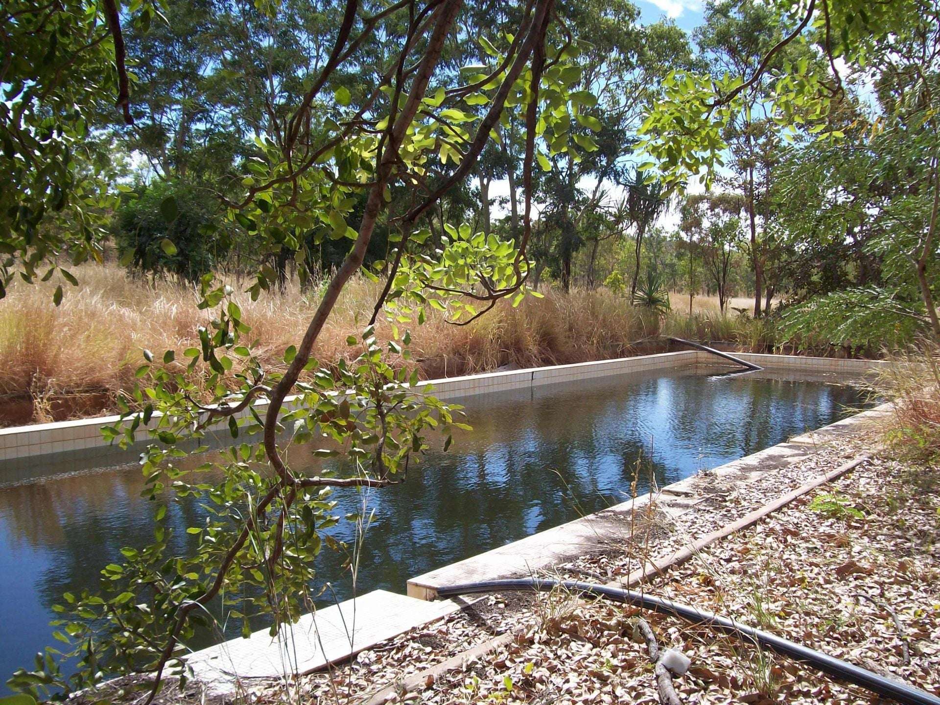 NT POR 3914 LTO 90/071 FRANCES CREEK ROAD, Douglas-daly For Sale by Farmbuy.com - image 9