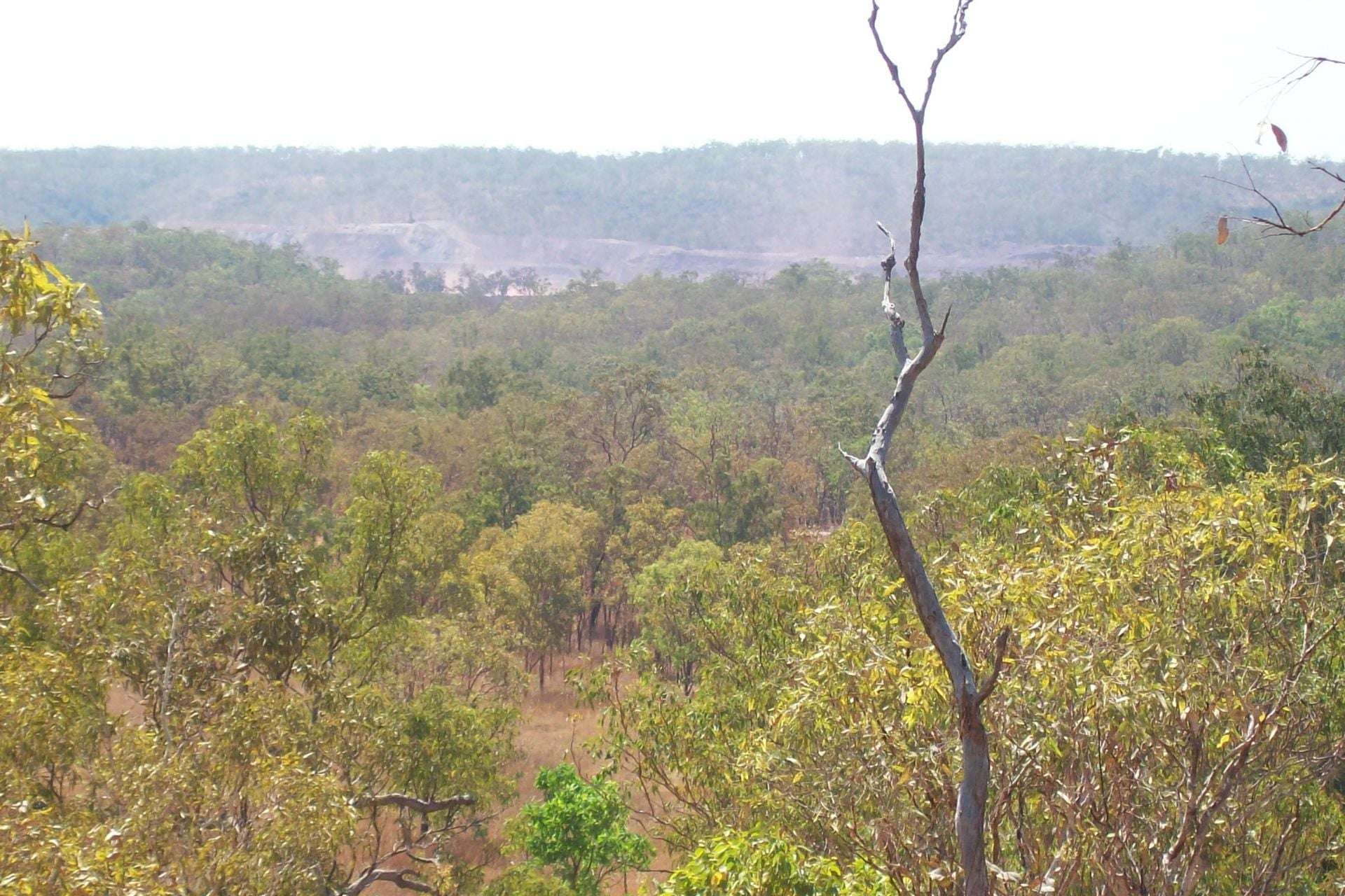 NT POR 3914 LTO 90/071 FRANCES CREEK ROAD, Douglas-daly For Sale by Farmbuy.com - image 6