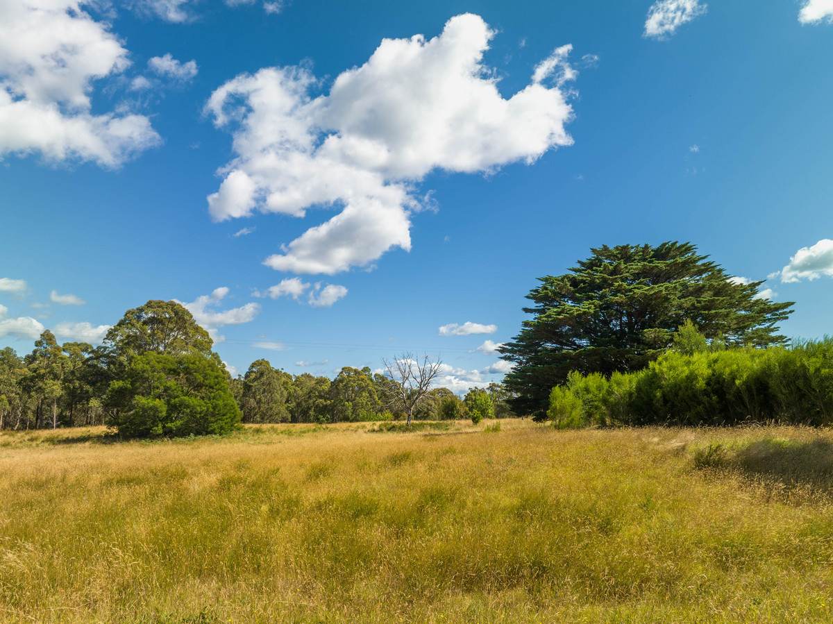 55 Hunters Lane, Kalimna For Sale by Farmbuy.com - image 9