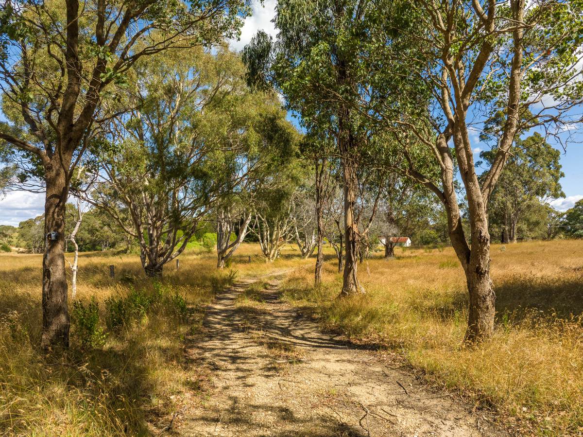 55 Hunters Lane, Kalimna For Sale by Farmbuy.com - image 7