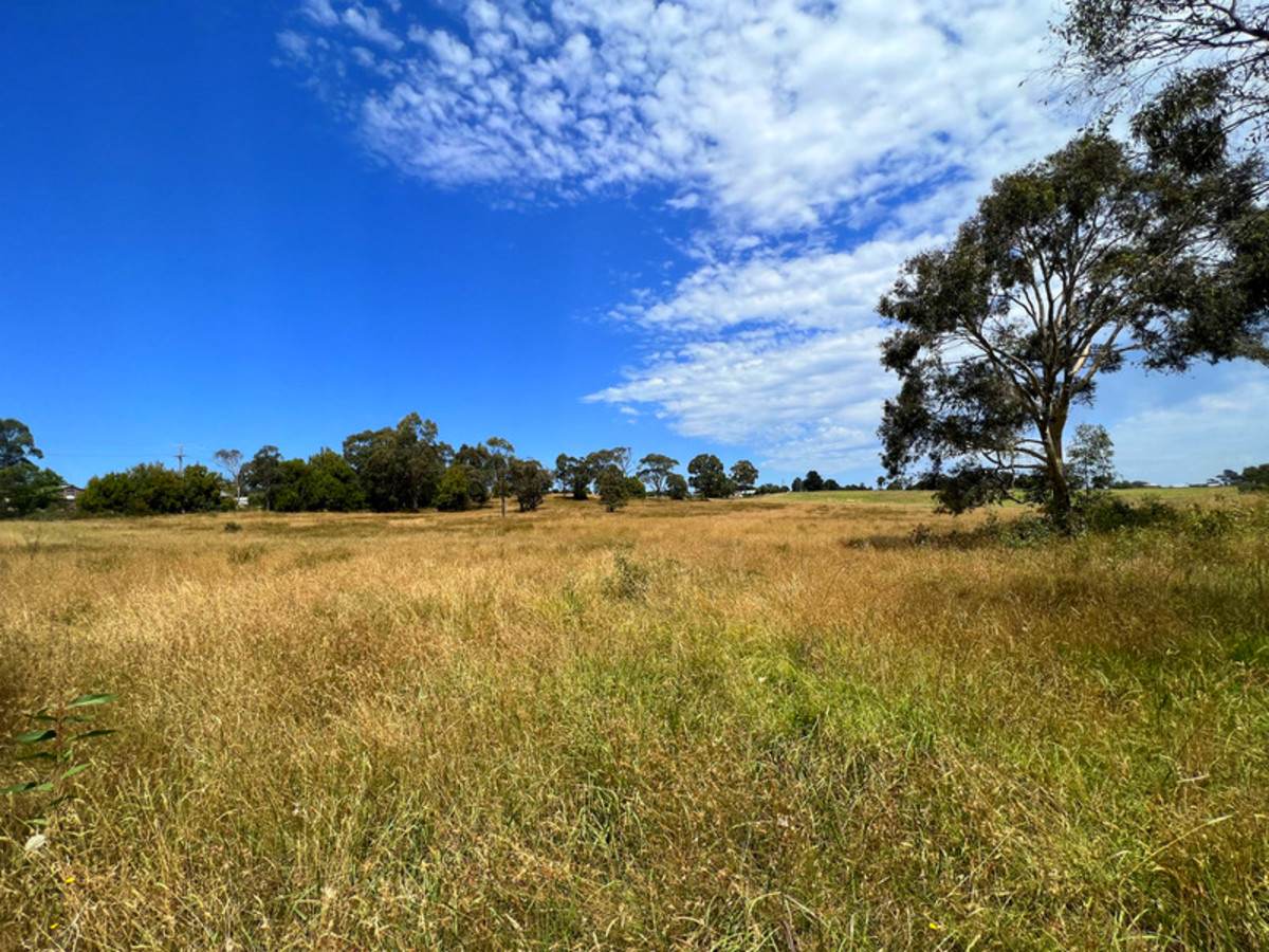 55 Hunters Lane, Kalimna For Sale by Farmbuy.com - image 11