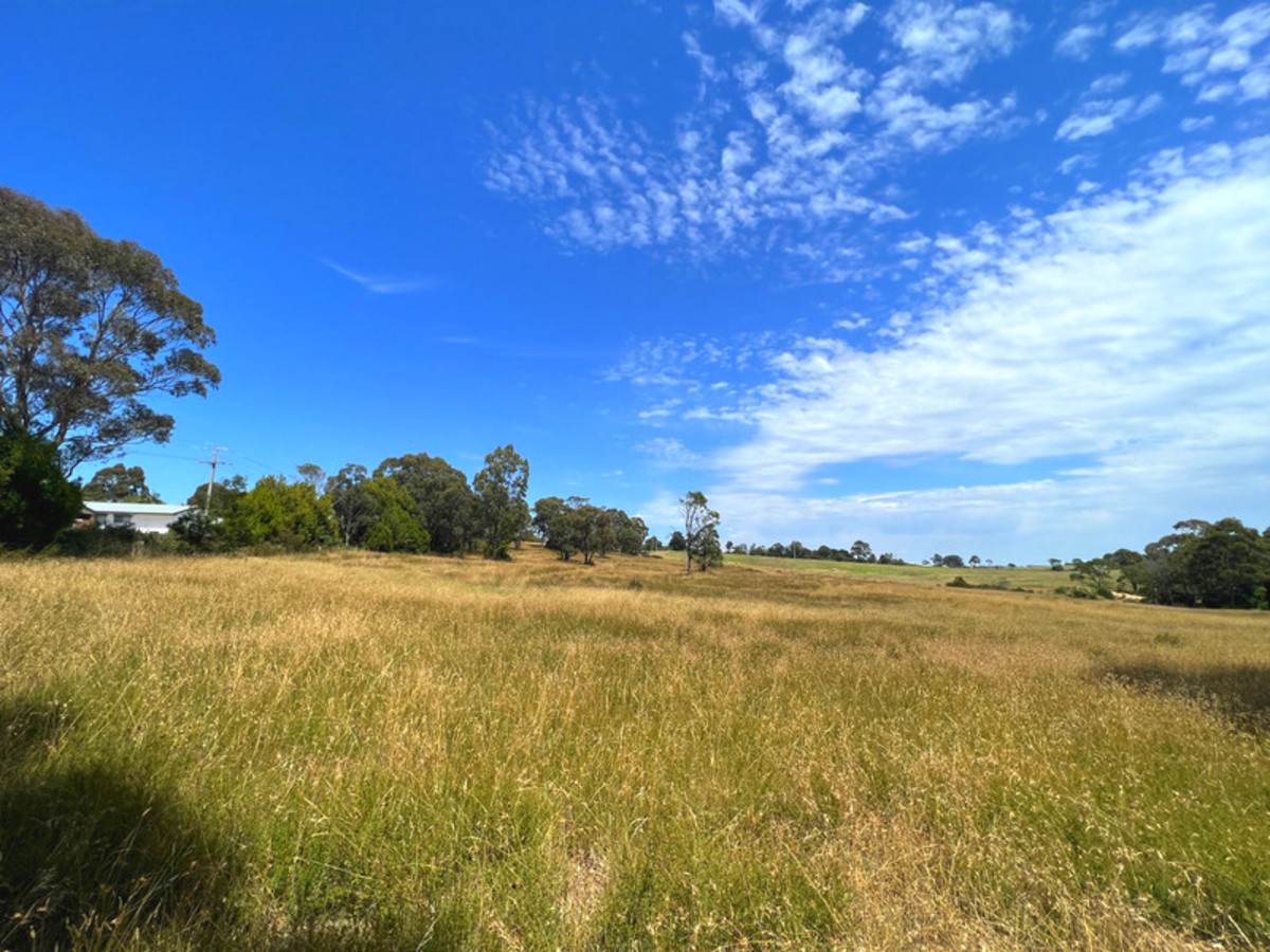 55 Hunters Lane, Kalimna For Sale by Farmbuy.com - image 8