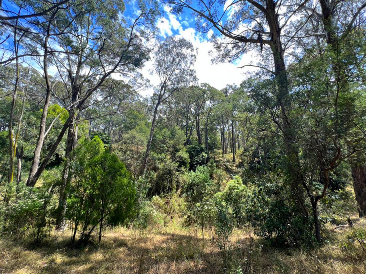 55 Hunters Lane, Kalimna For Sale by Farmbuy.com - image 17