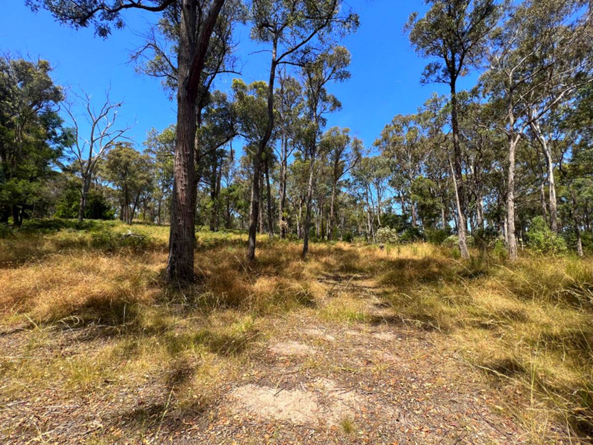 55 Hunters Lane, Kalimna For Sale by Farmbuy.com - image 16
