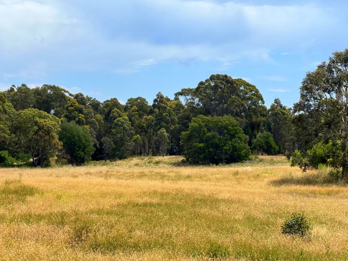 55 Hunters Lane, Kalimna For Sale by Farmbuy.com - image 19