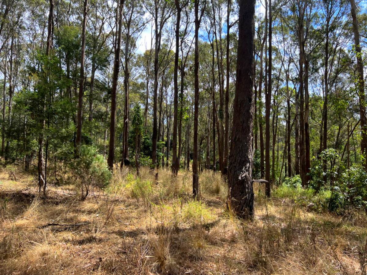 55 Hunters Lane, Kalimna For Sale by Farmbuy.com - image 15