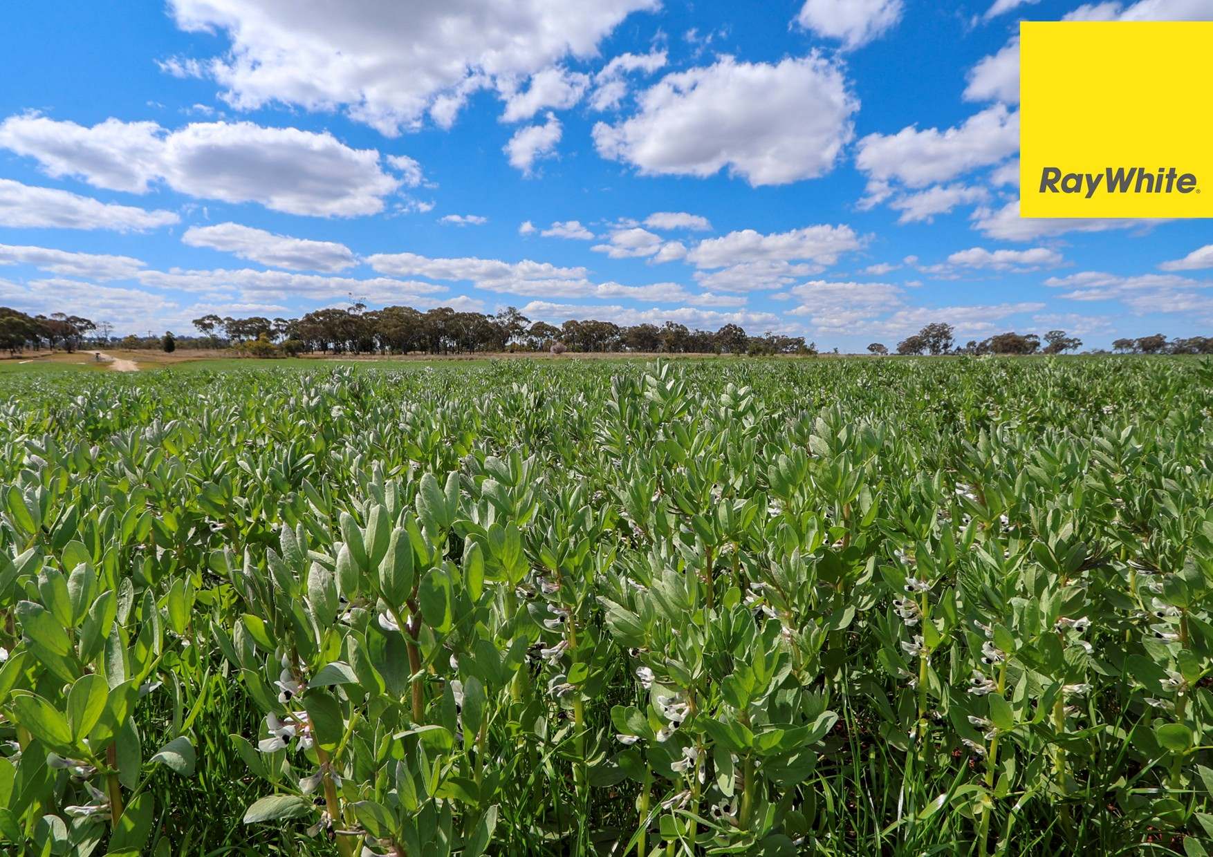 11 Delungra Bypass Road, Inverell For Sale by Farmbuy.com - image 10