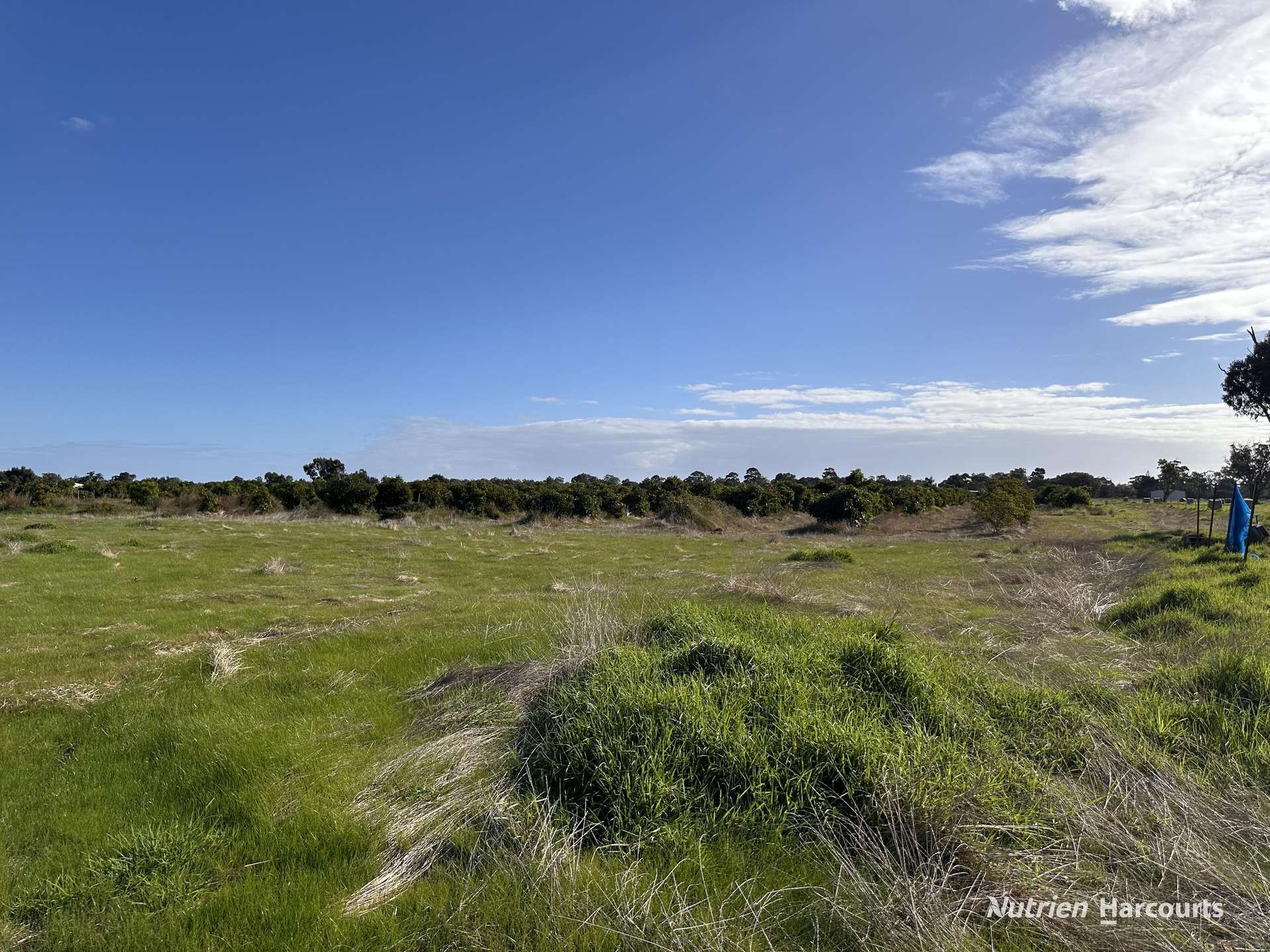 Lot 15 Hull Road, Harvey For Sale by Farmbuy.com - image 6