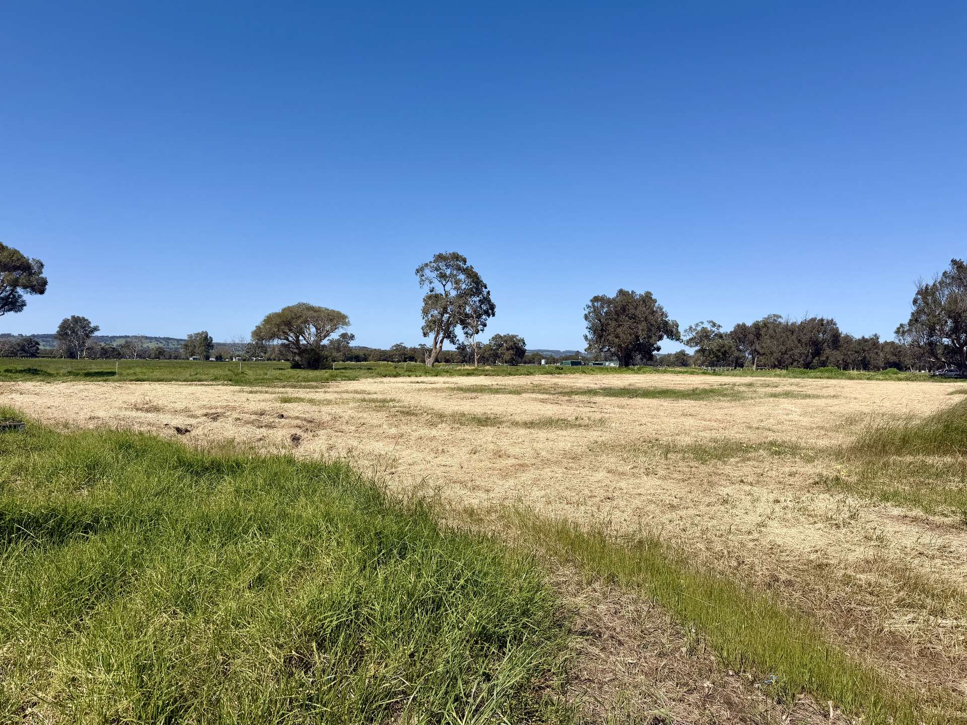 Lot 15 Hull Road, Harvey For Sale by Farmbuy.com - image 9