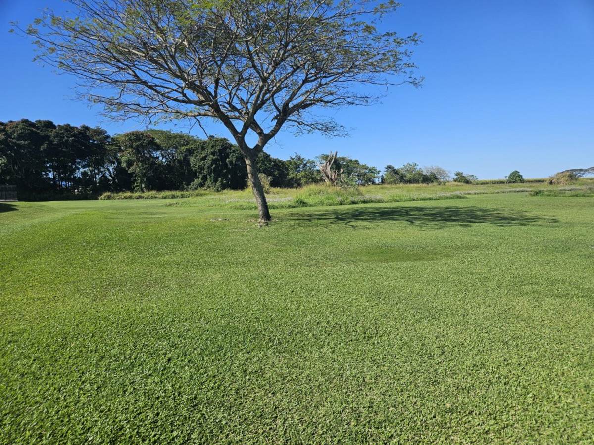 58 Origlasso Street, Ingham For Sale by Farmbuy.com - image 3