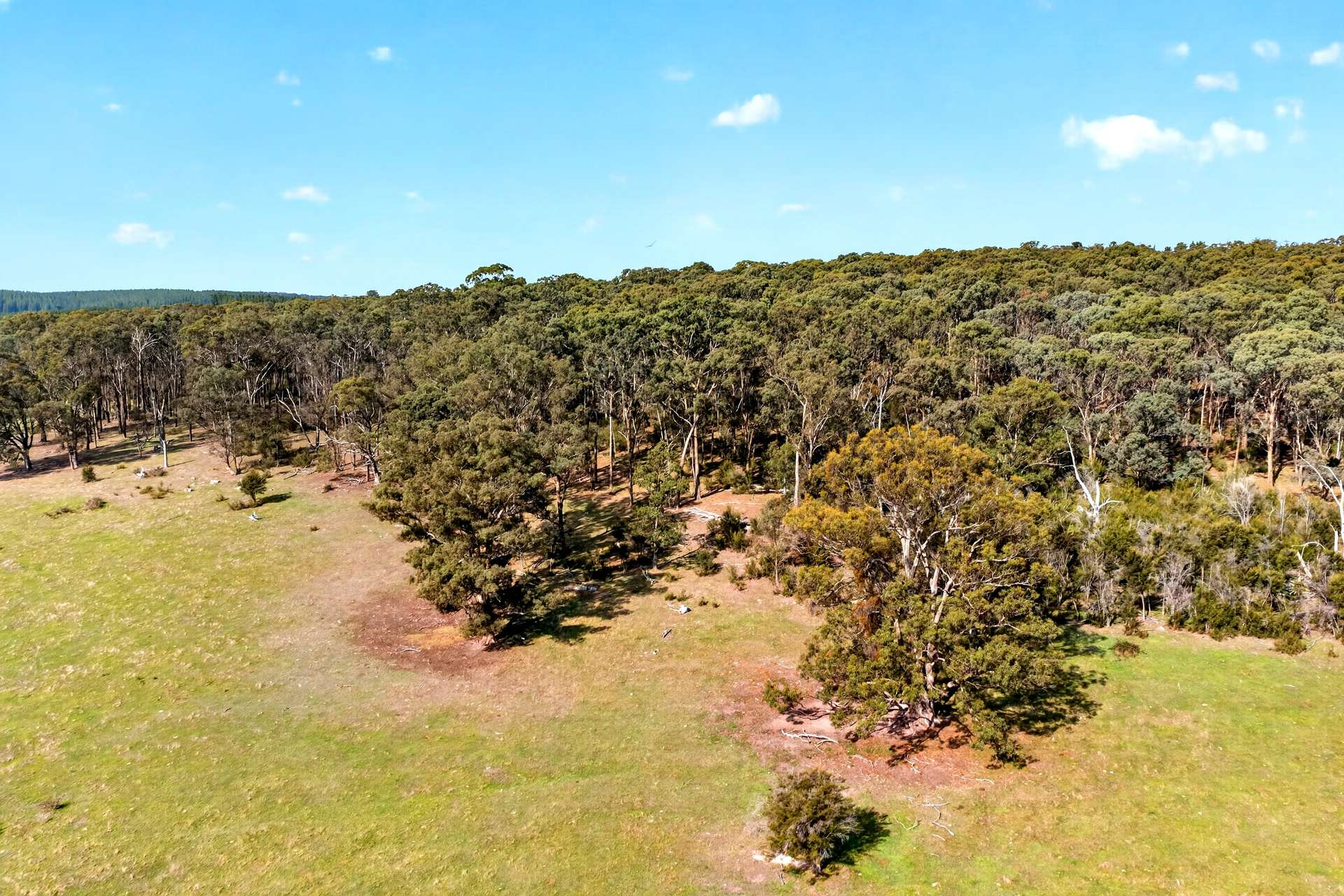 Maxfields Road, Flynns Creek For Sale by Farmbuy.com - image 14