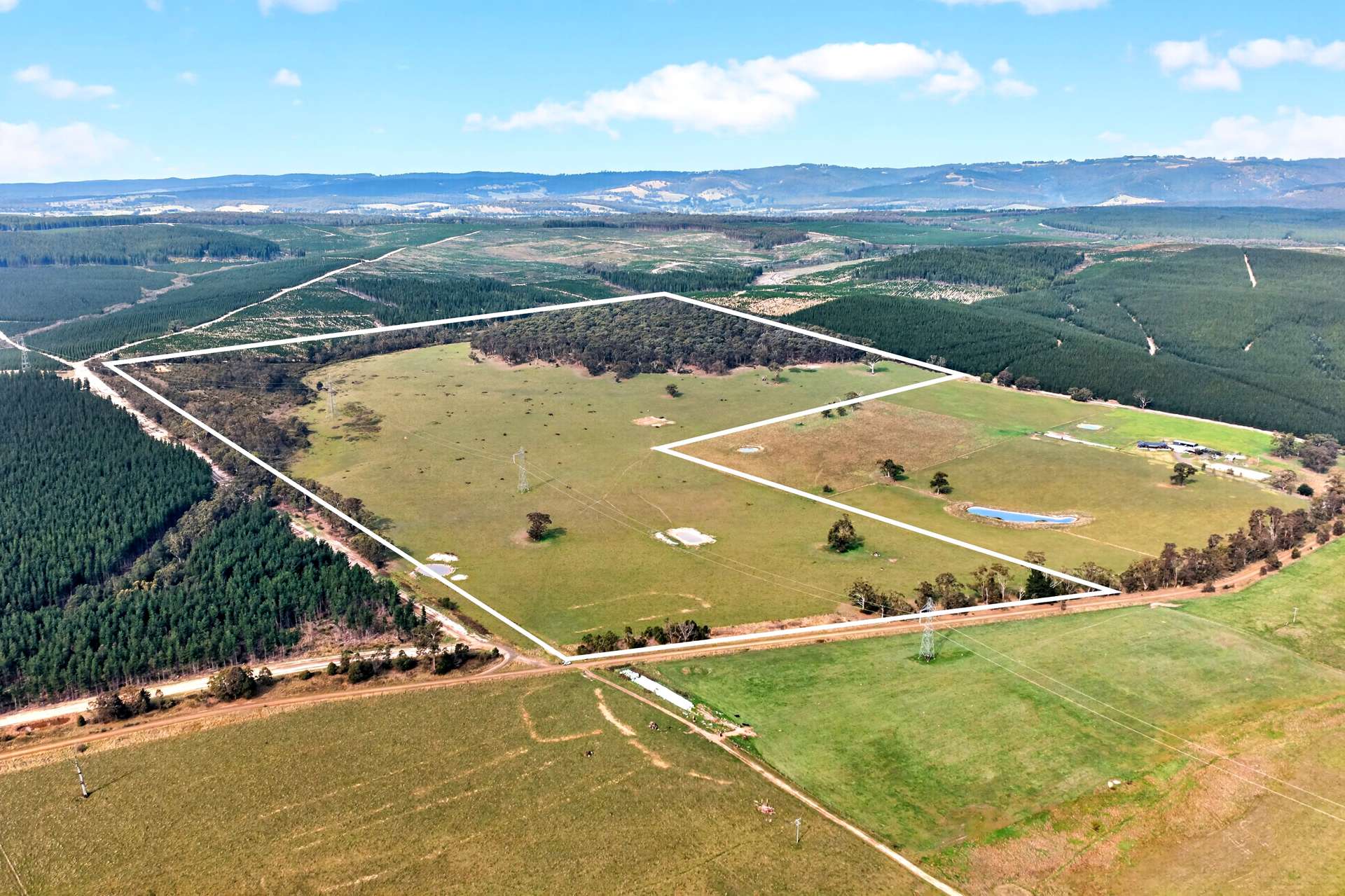Maxfields Road, Flynns Creek For Sale by Farmbuy.com - image 2