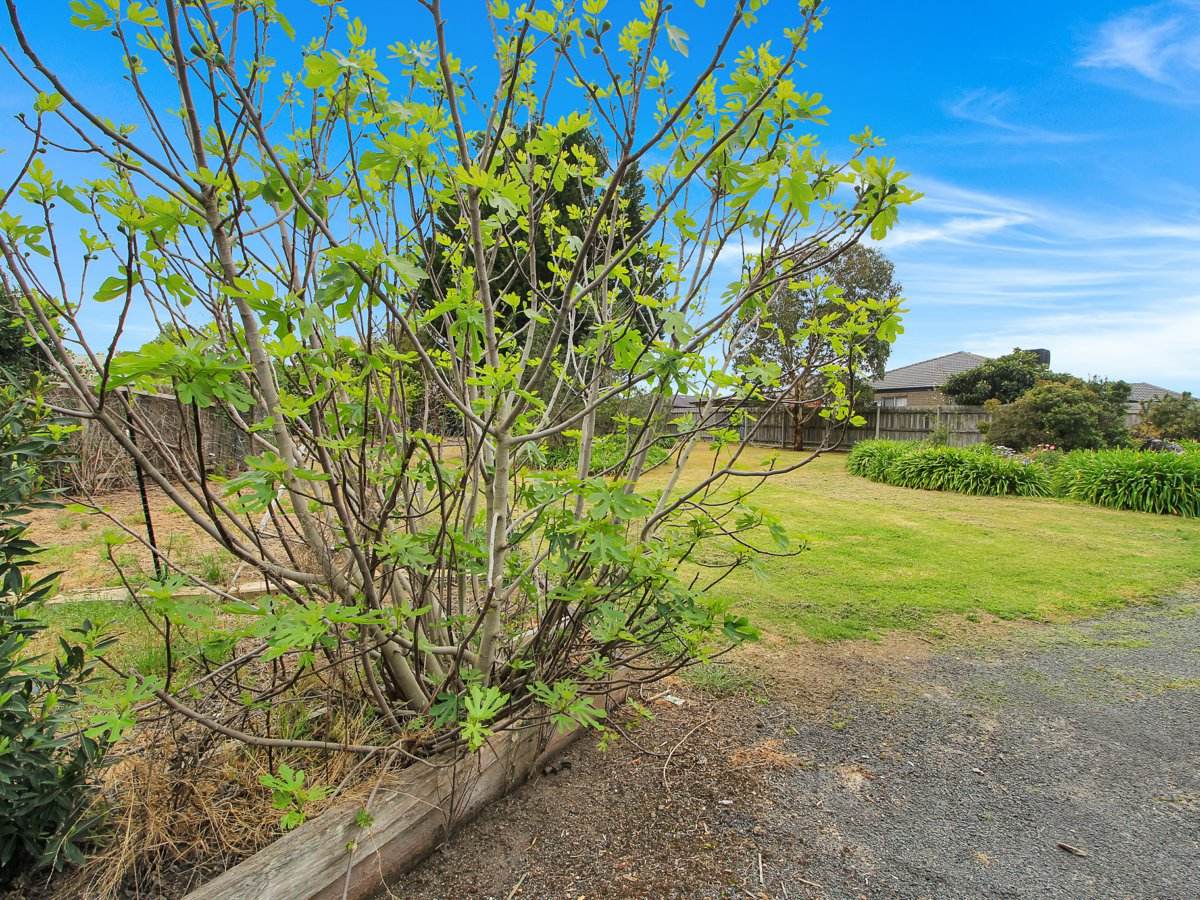 29 Timbarra Drive, Eastwood For Sale by Farmbuy.com - image 24