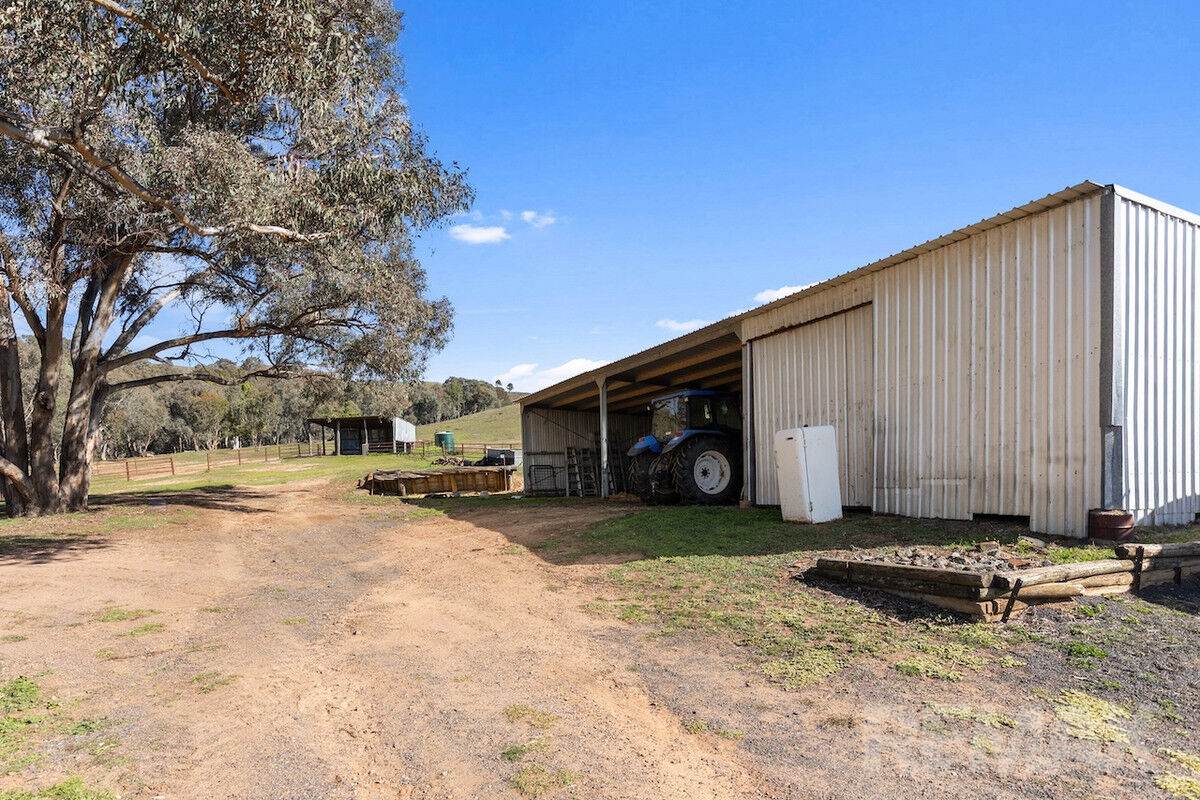 1134 Pulletop Road, Big Springs For Sale by Farmbuy.com - image 29