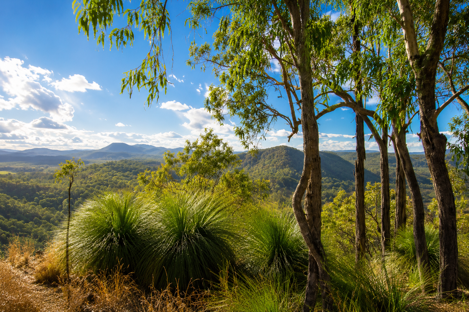 796 Rossmore Road, Kilkivan For Sale by Farmbuy.com - image 26