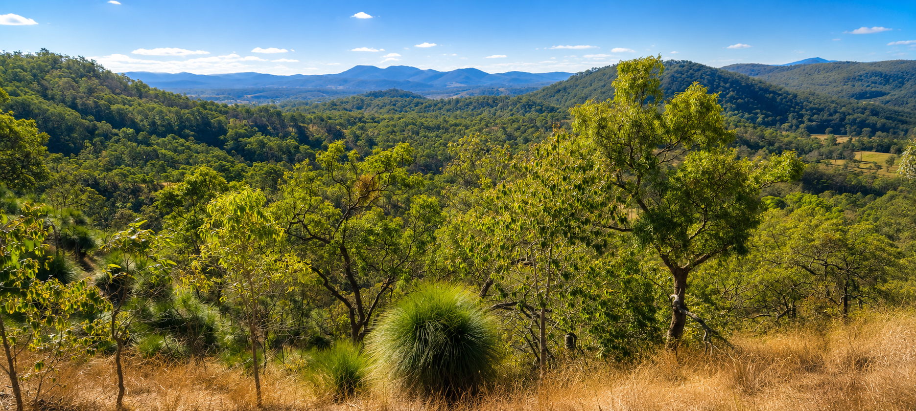 796 Rossmore Road, Kilkivan For Sale by Farmbuy.com - image 25