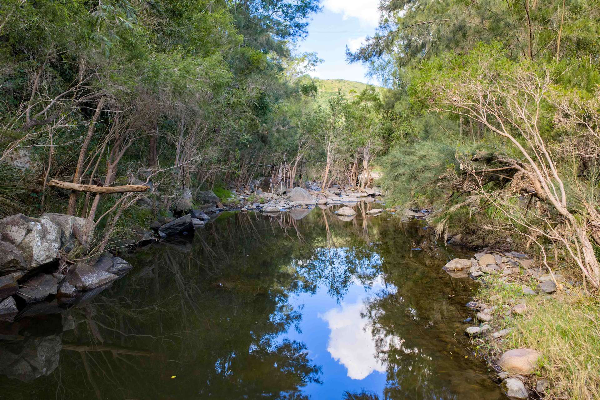 796 Rossmore Road, Kilkivan For Sale by Farmbuy.com - image 15
