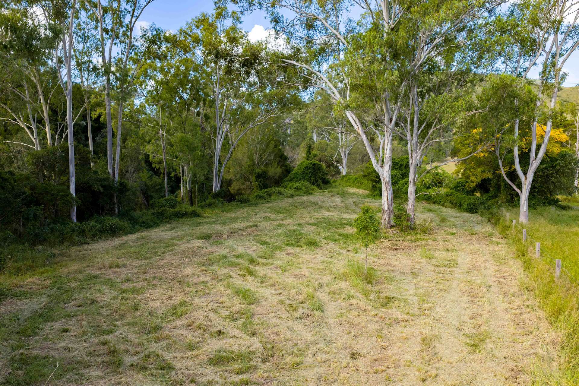 796 Rossmore Road, Kilkivan For Sale by Farmbuy.com - image 19